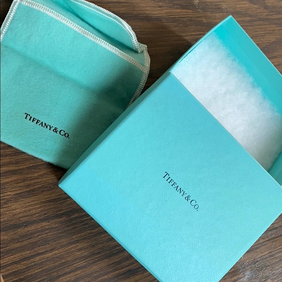 Authentic Tiffany & Co. jewelry box, bag, polish - Picture 1 of 1